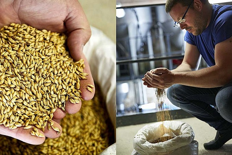 Brasserie de Vauclair