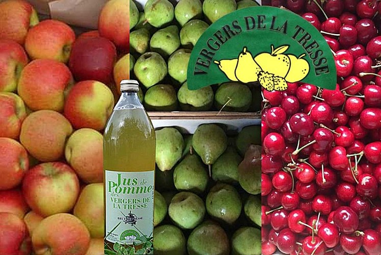 Les Vergers de la Tresse à Lannes