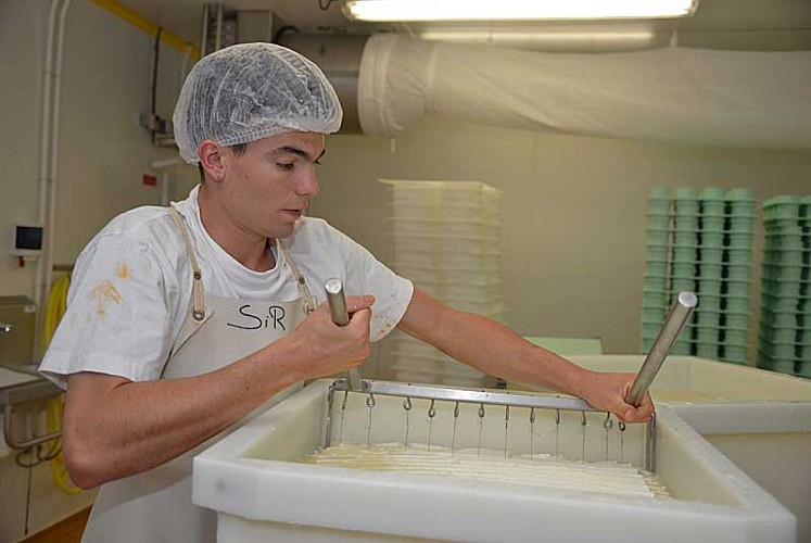 AOP Fromage de Langres - Fromagerie Schertenleib