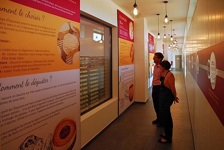 Fromagerie Germain - le couloir de visite