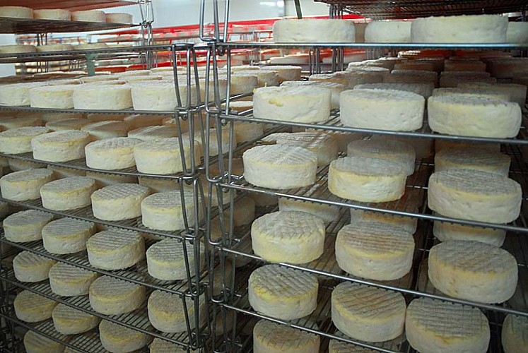 Fromagerie Germain - le couloir de visite
