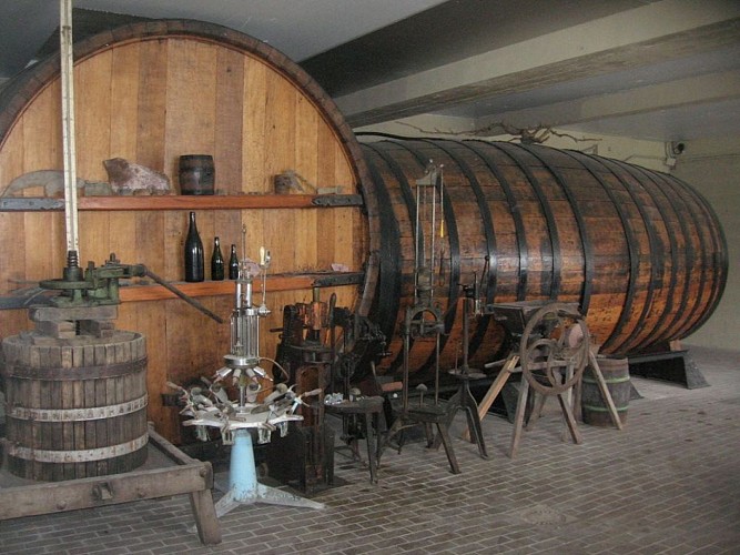 champagne 52 colombey terroir champagne peligri mdt52 022._4