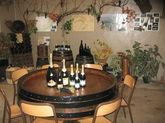 champagne 52 colombey terroir champagne peligri mdt52 082._5