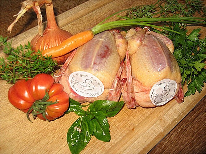 Le Pigeon Barrois à Richebourg