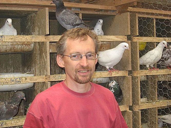 Le Pigeon Barrois à Richebourg