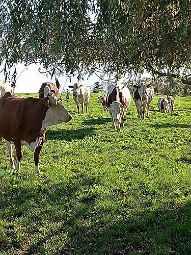 GAEC de la Vallée du Breuil