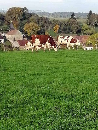 GAEC de la Vallée du Breuil