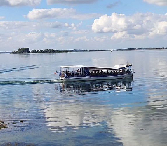 322572099_849795569592212_6318812927036046195_n