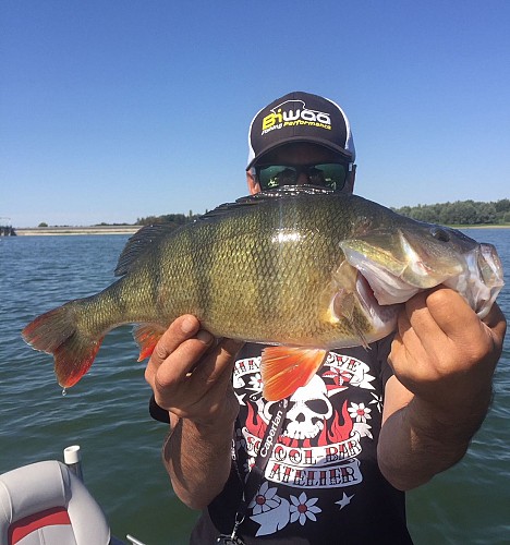 201804-PARISOT-RODOLPHE