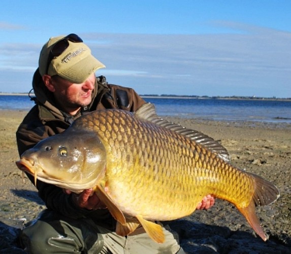20160920 SCHAUMANS Fc