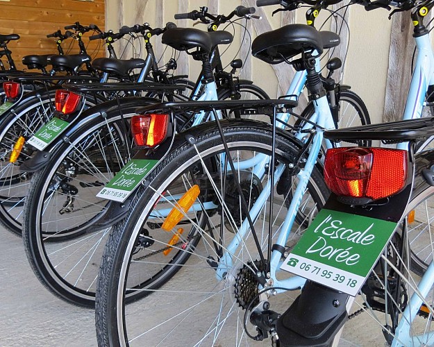 Escale Dorée - Lac du Der - VTC1