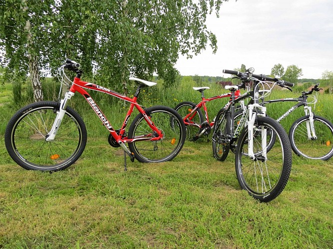 Escale Dorée - Lac du Der - vtt8