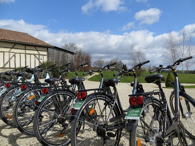 Escale Dorée - Lac du Der