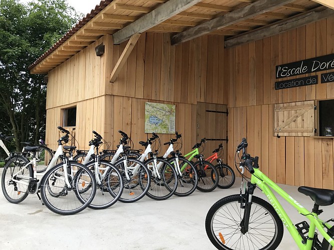 Escale Dorée - Lac du Der - BOUTIQUE-VELOS1