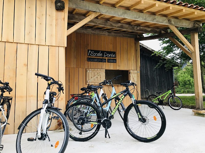 Escale Dorée - Lac du Der - BOUTIQUE-VELOS2