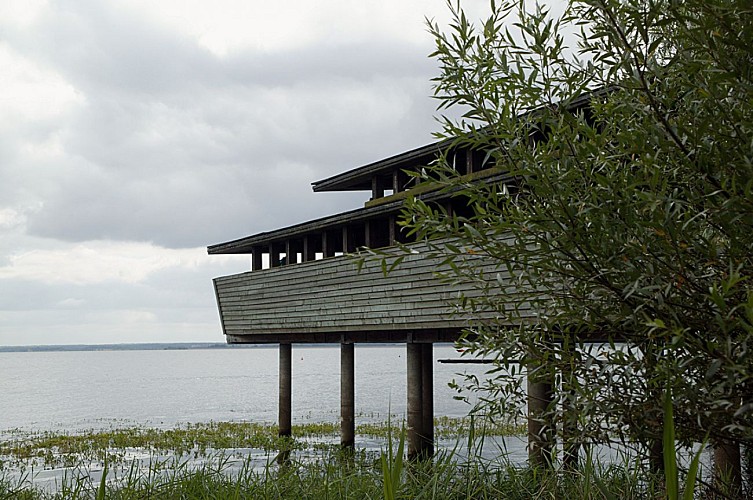 Lac du Der_observatoire-chantecoq _ Lac du Der en Champagne