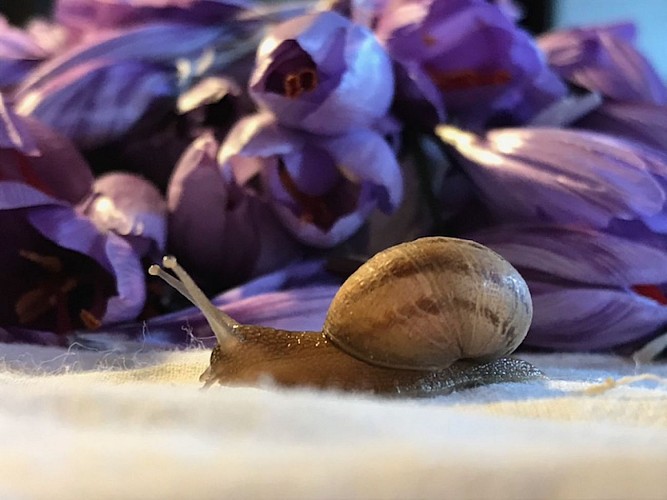 Ferme Pédagogique du Grand Der