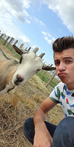 Ferme Pédagogique du Grand Der