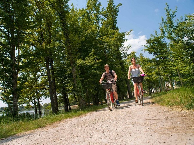 Yelloh!Village-en-Champagne - Location de vélos