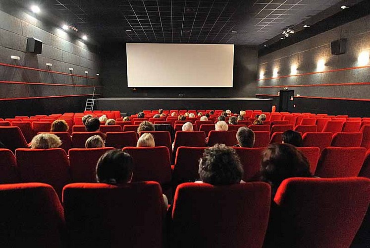 Cinéma New Vox à Langres