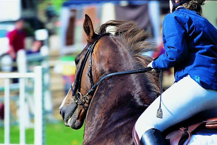 champagne 52 loisirs equestre competition phl6836._1