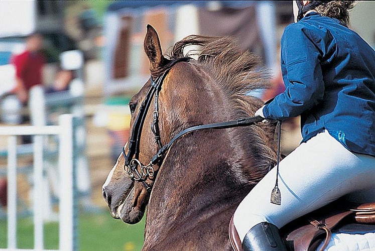 Competition équestre