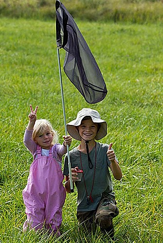 Chrysalide - sortie nature