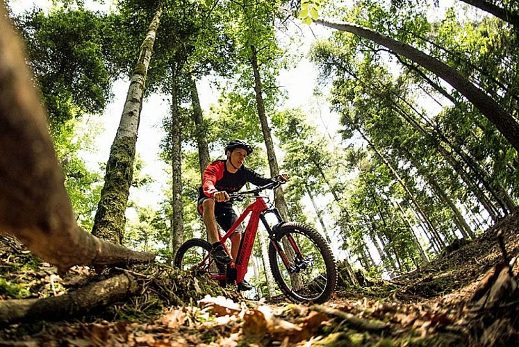 Location de vélo vae Moustache