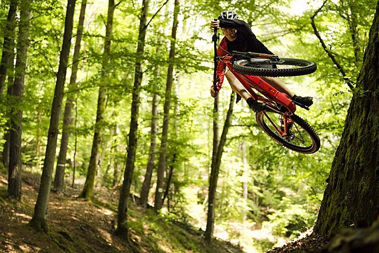 Location de vélo vae Moustache