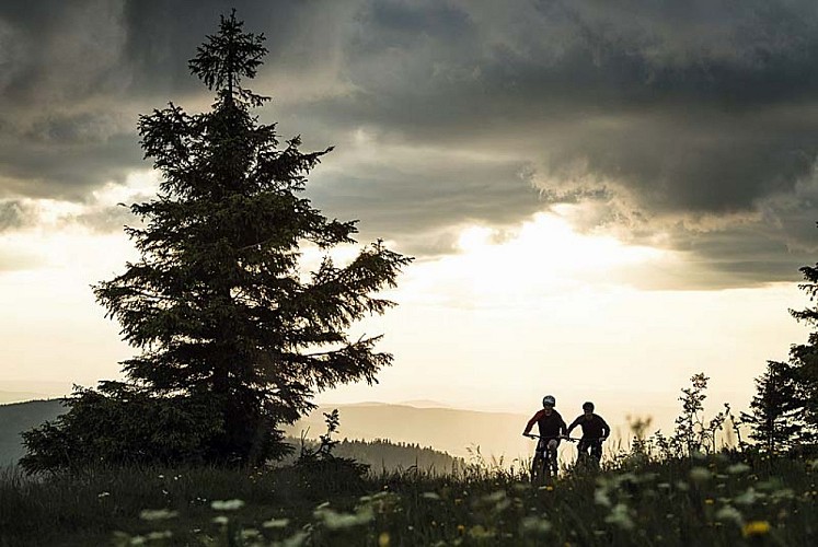 Location de vélo vae Moustache à Langres