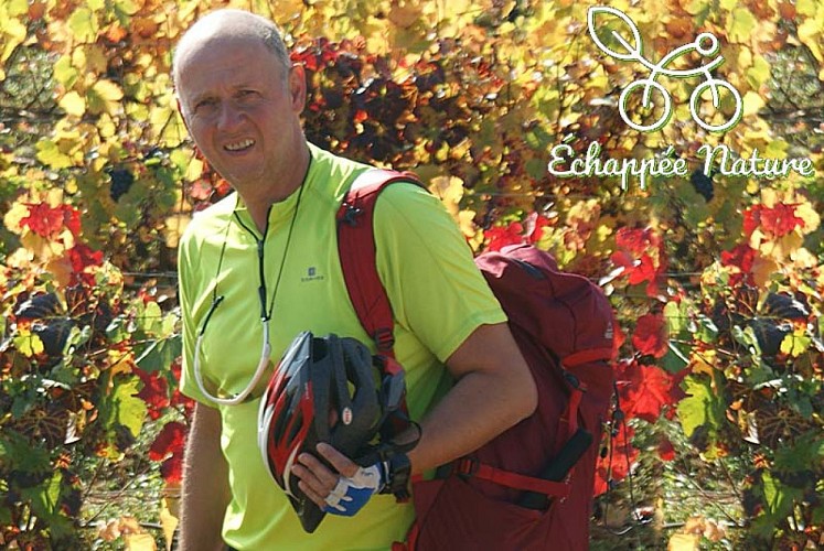 Echappée Nature - balade guidèe en vélo dans le parc national de forêt