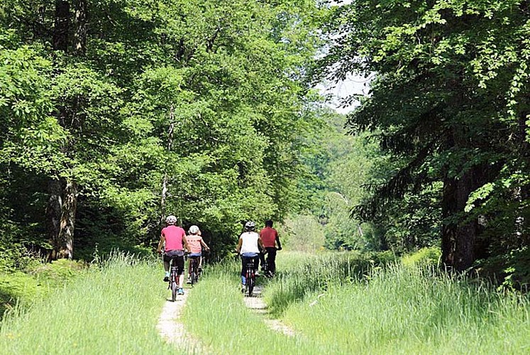Echappée Nature - balade guidèe en vélo dans le parc national de forêt