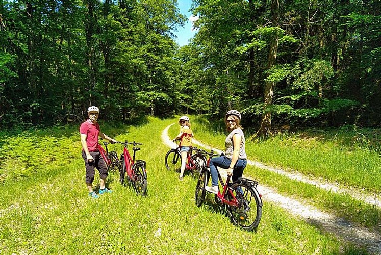 Echappée Nature - balade guidèe en vélo dans le parc national de forêt