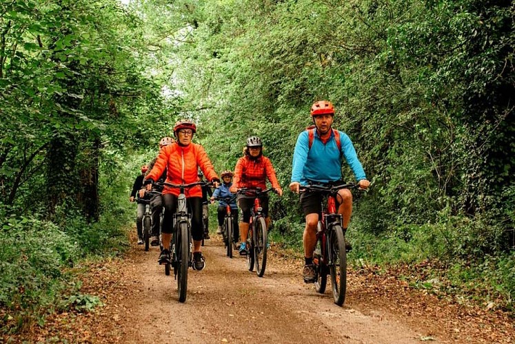 Echappée Nature - balade guidèe en vélo dans le parc national de forêt