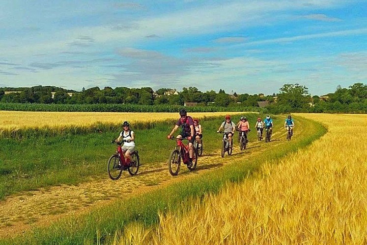 Echappée Nature - balade guidèe en vélo dans le parc national de forêt