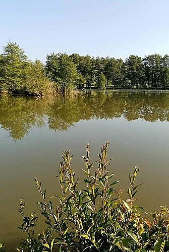 Etang de pêche de Varennes-sur-Amance