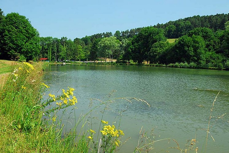 Etang de pêche de la Juchère à Villars-Santenoge