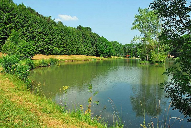 Etang de pêche de la Juchère à Villars-Santenoge