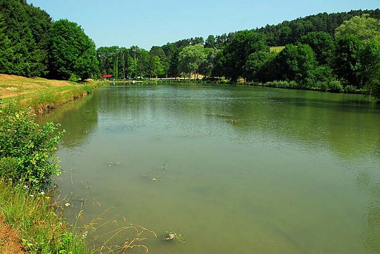 Etang de pêche de la Juchère à Villars-Santenoge