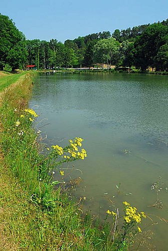 Etang de pêche de la Juchère à Villars-Santenoge