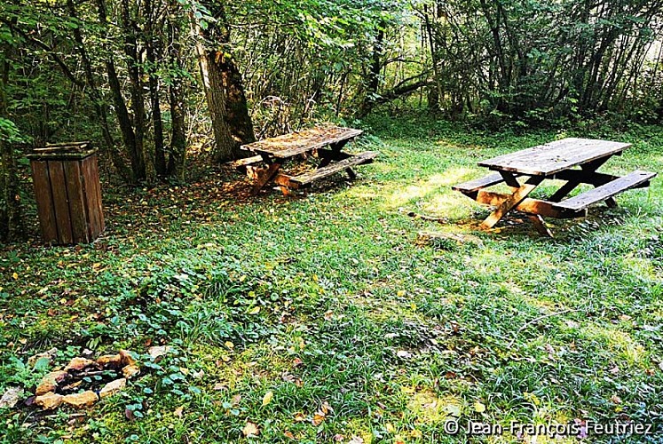 Aire de pique-nique d'Aprey - Source de la Vingeanne