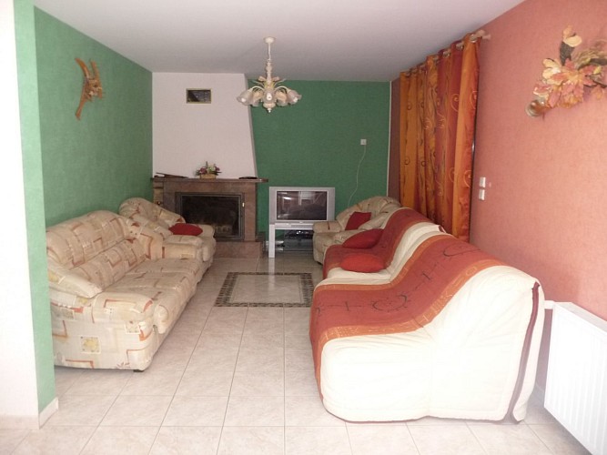 LOGIS DU DER - salon avec cheminée