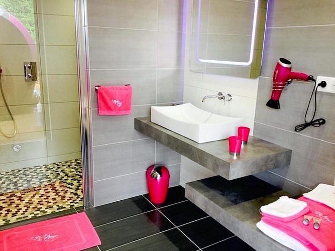 champagne 52 illoud dormir dans une bulle 6._6