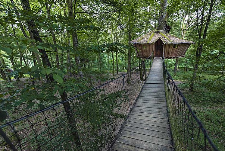 L'Arbre à Cabane