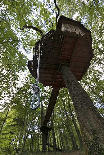 L'Arbre à Cabane