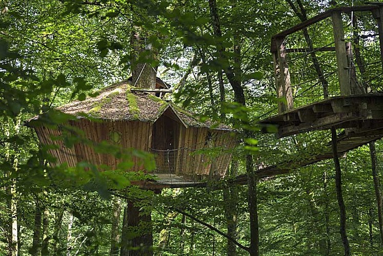 L'Arbre à Cabane