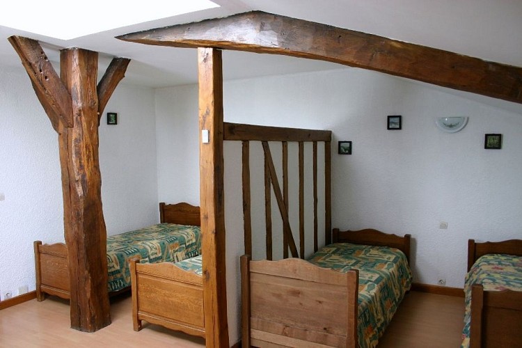 HCOLLCHA051V5042IM_10