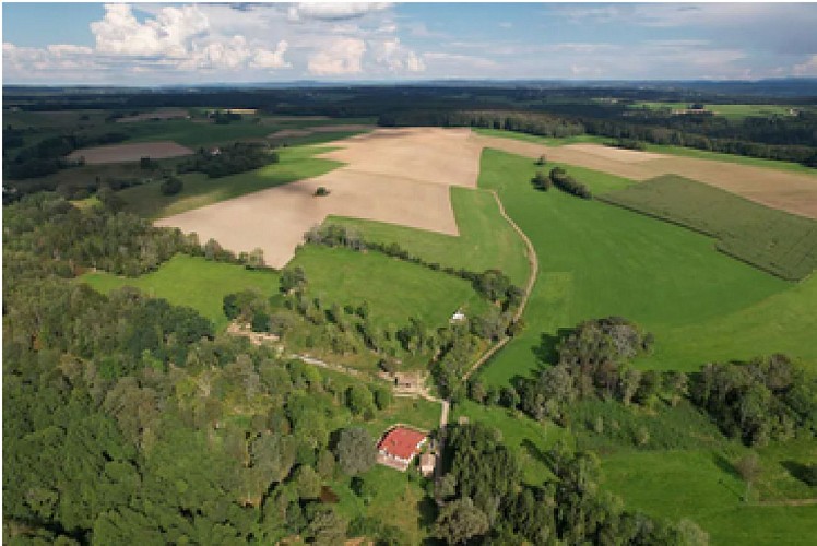 Gîte du chat sauvage
