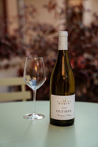 le chat qui reve Vin olympe