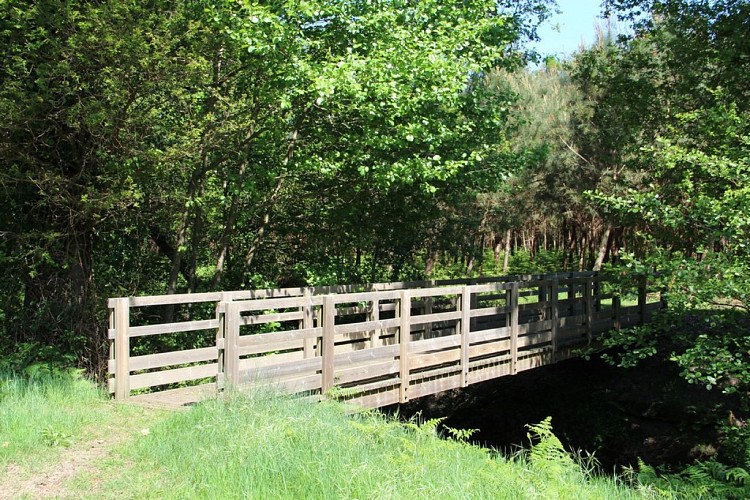 Passerelle sur le Ruisseau du Moulin